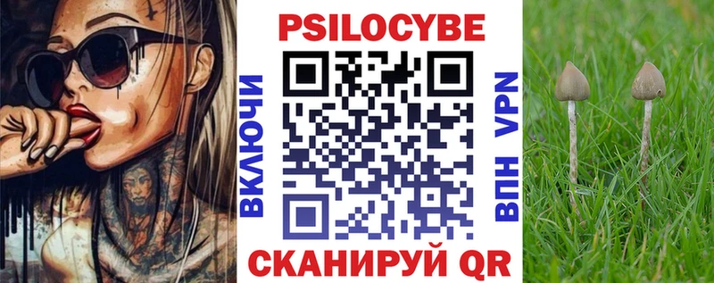 где можно купить   mega ONION  Псилоцибиновые грибы Psilocybe  Норильск 